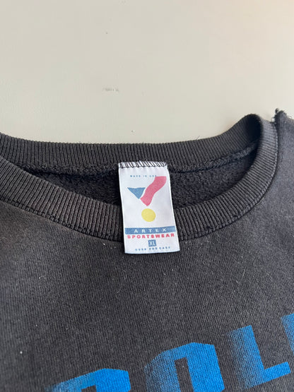 XL 1993 Carolina Panthers Sweatshirt