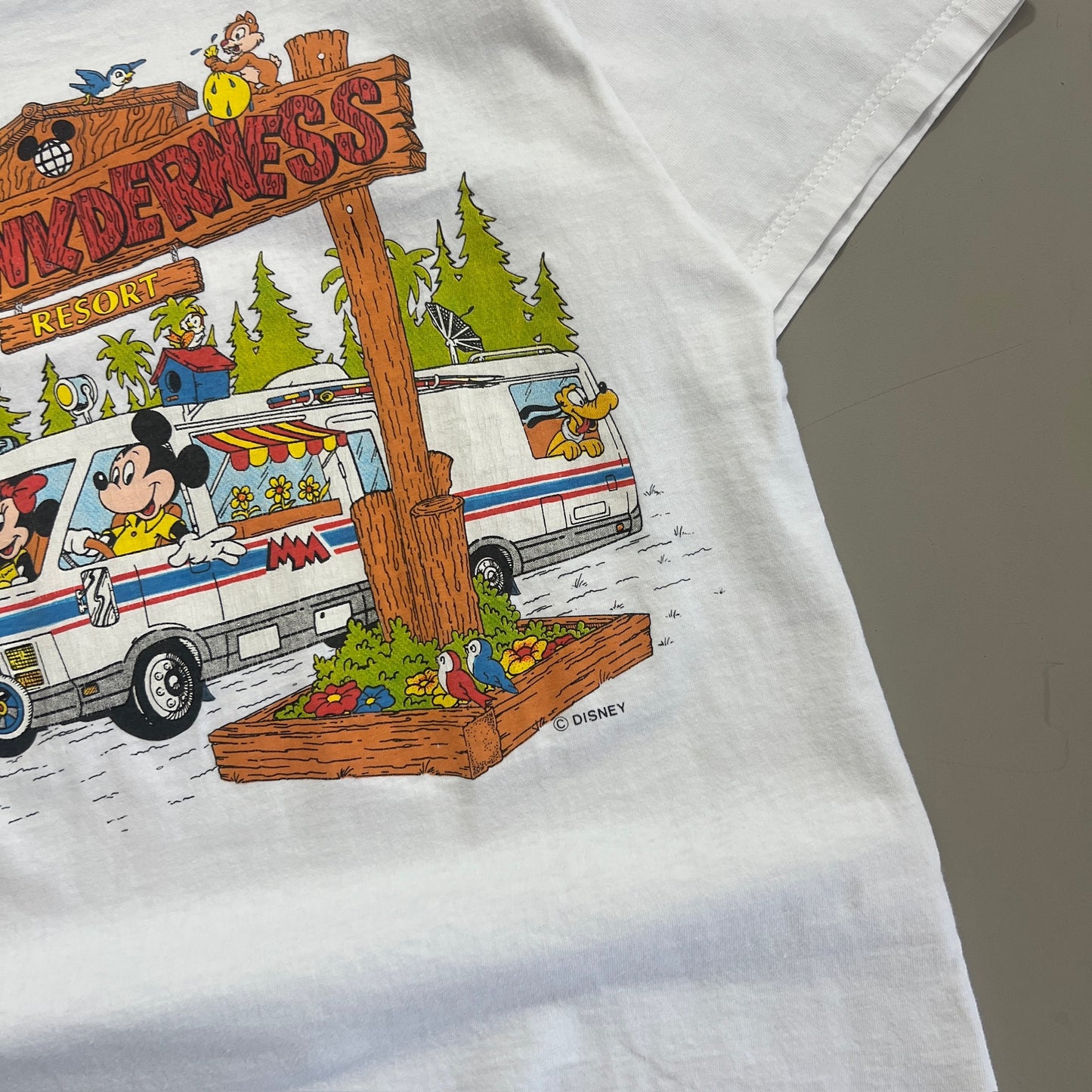 Medium 1980s Walt Disney Fort Wildernes T-shirt