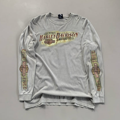 Large 2000s Harley Davidson Virginia T-shirt
