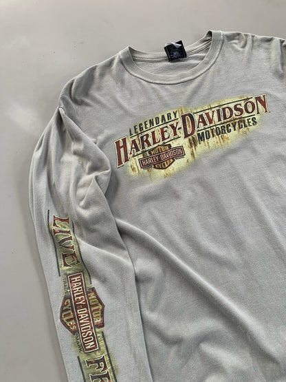 Large 2000s Harley Davidson Virginia T-shirt