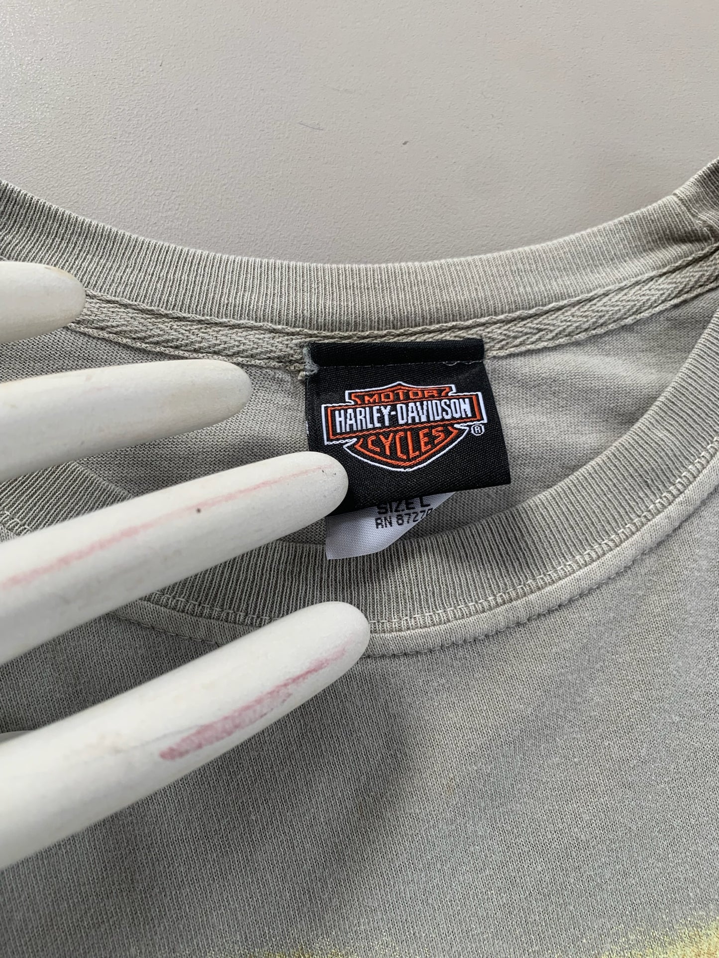 Large 2000s Harley Davidson Virginia T-shirt