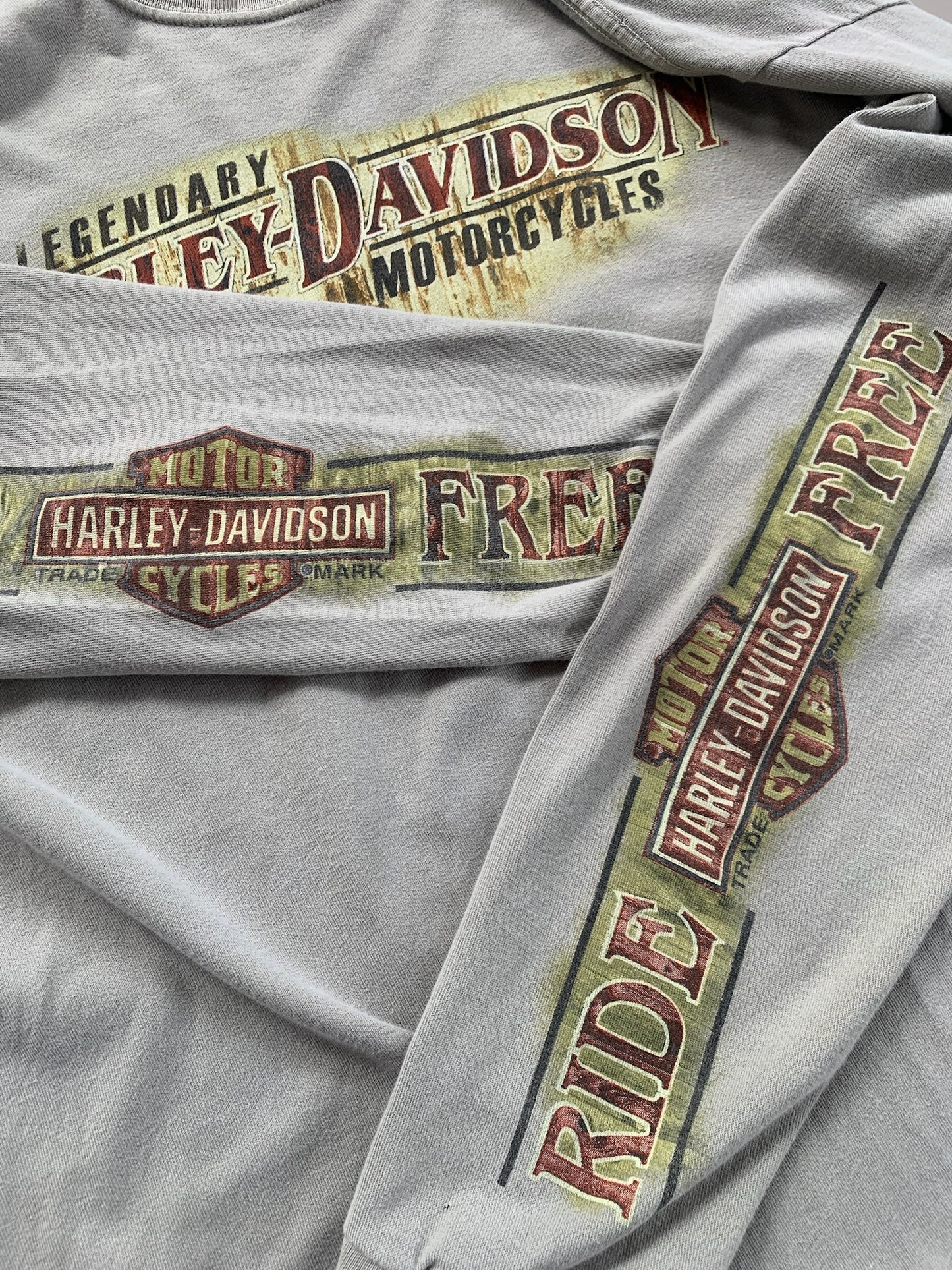 Large 2000s Harley Davidson Virginia T-shirt