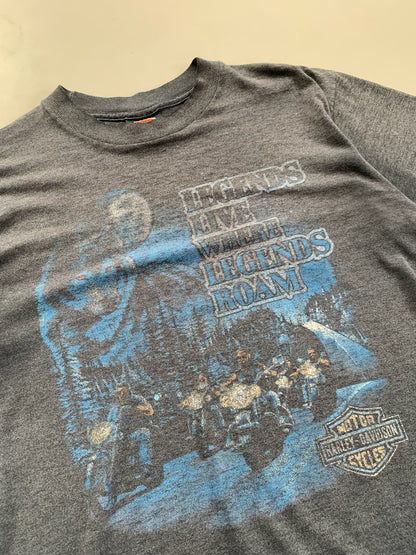 Medium 1980s Harley Davidson Legends Live T-shirt