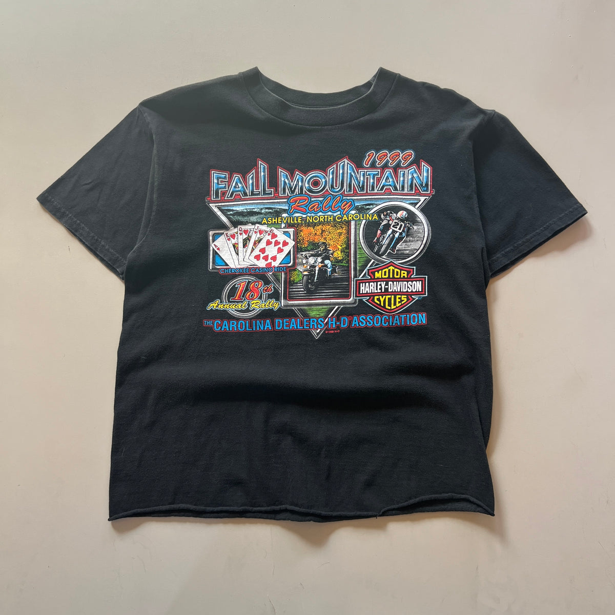 Large 1999 Harley Davidson Asheville T-shirt
