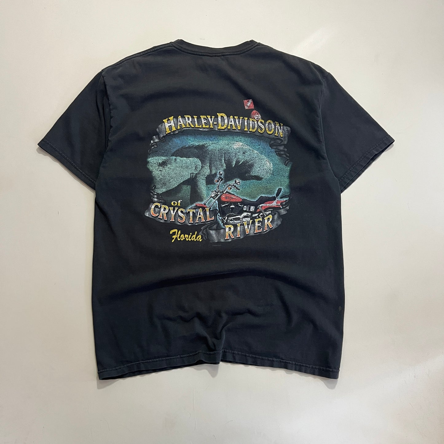 XL 2000s Harley Davidson Florida T-shirt