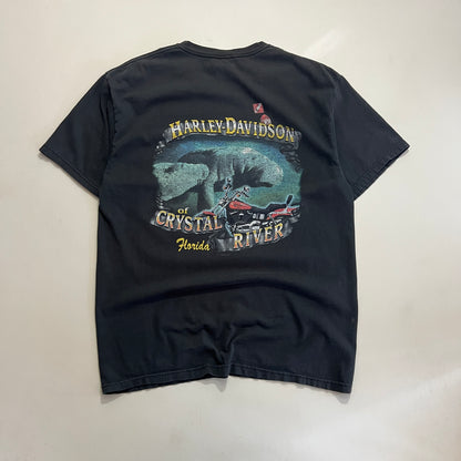 XL 2000s Harley Davidson Florida T-shirt