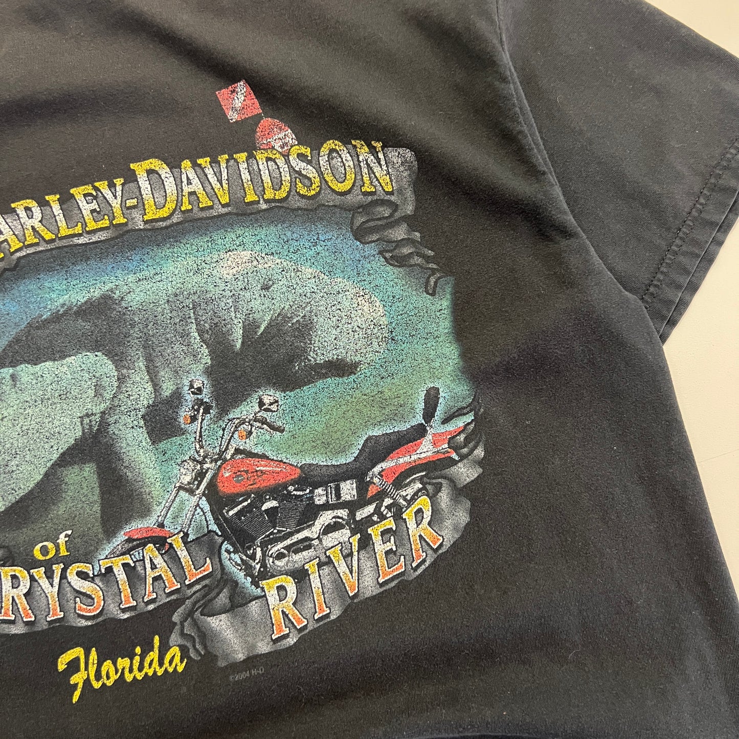 XL 2000s Harley Davidson Florida T-shirt