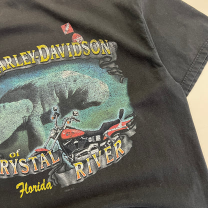 XL 2000s Harley Davidson Florida T-shirt