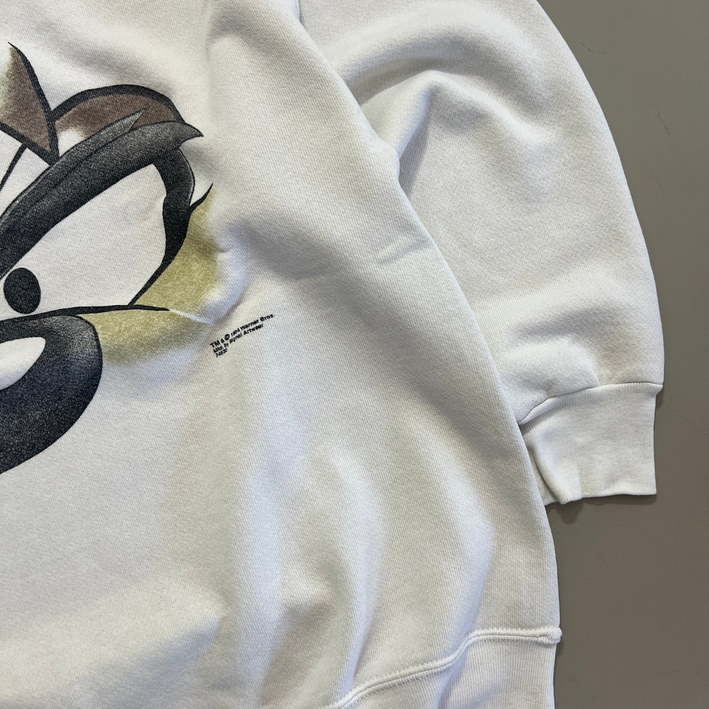 Large 1994 Warner Bros Taz Sweatshirt