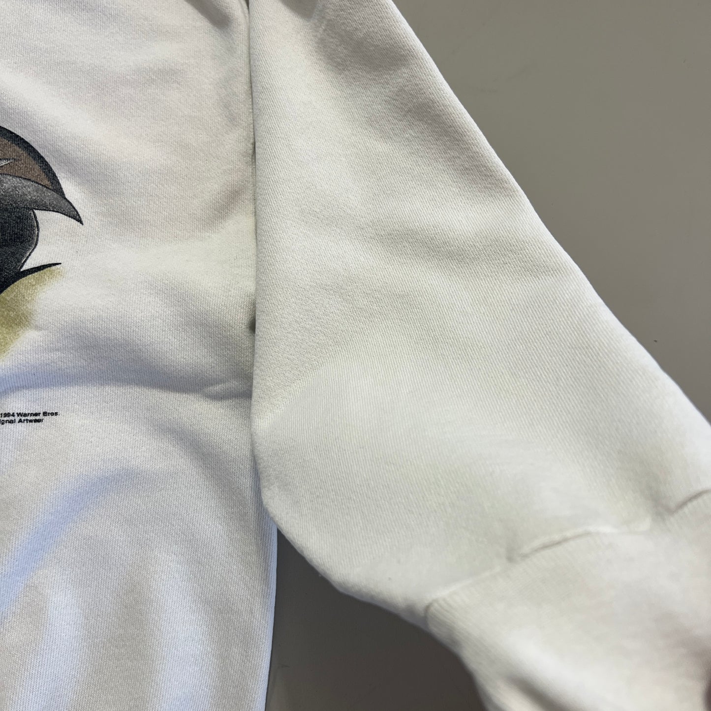 Large 1994 Warner Bros Taz Sweatshirt