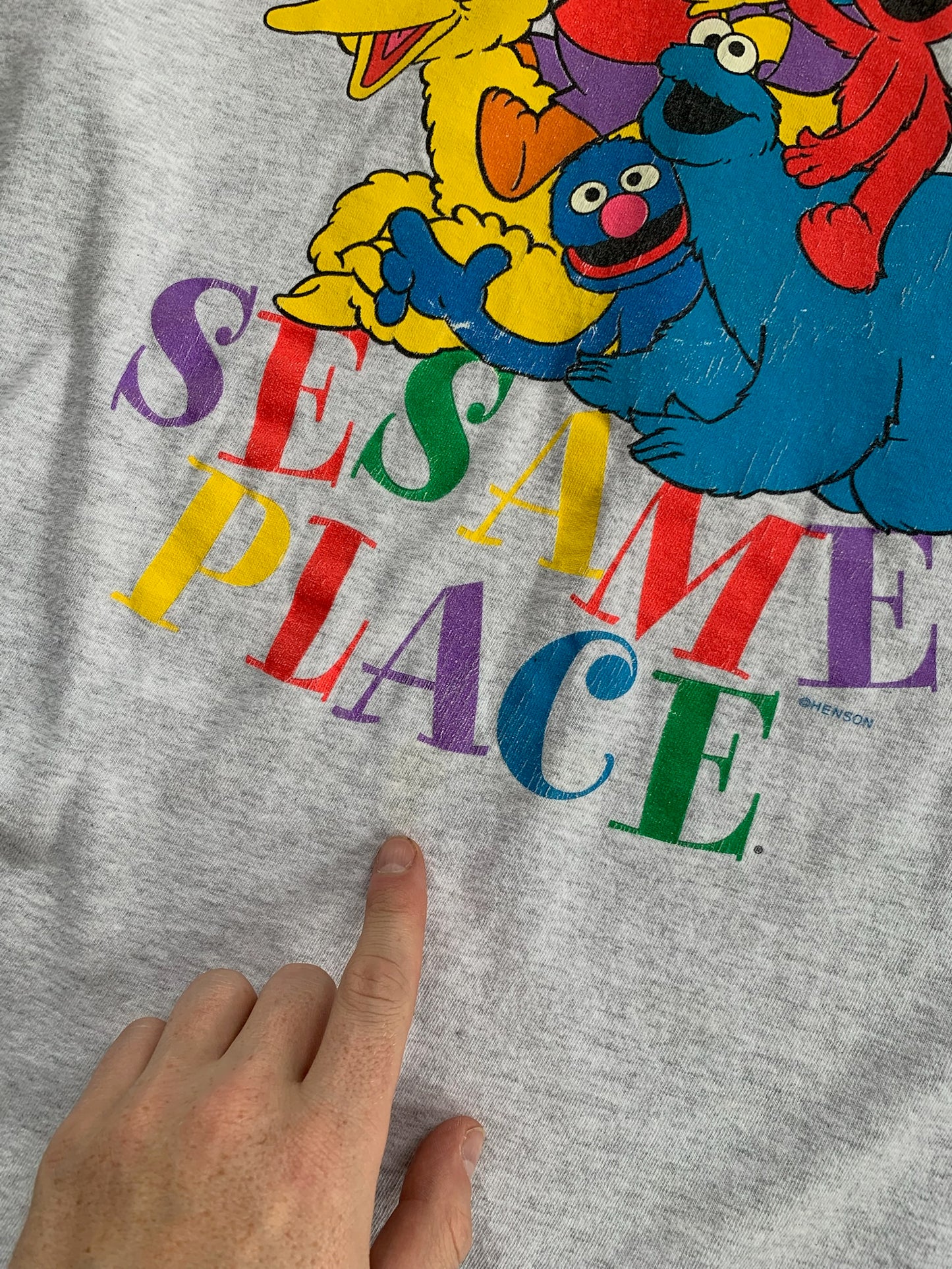 Large 90s Sesame Place T-shirt
