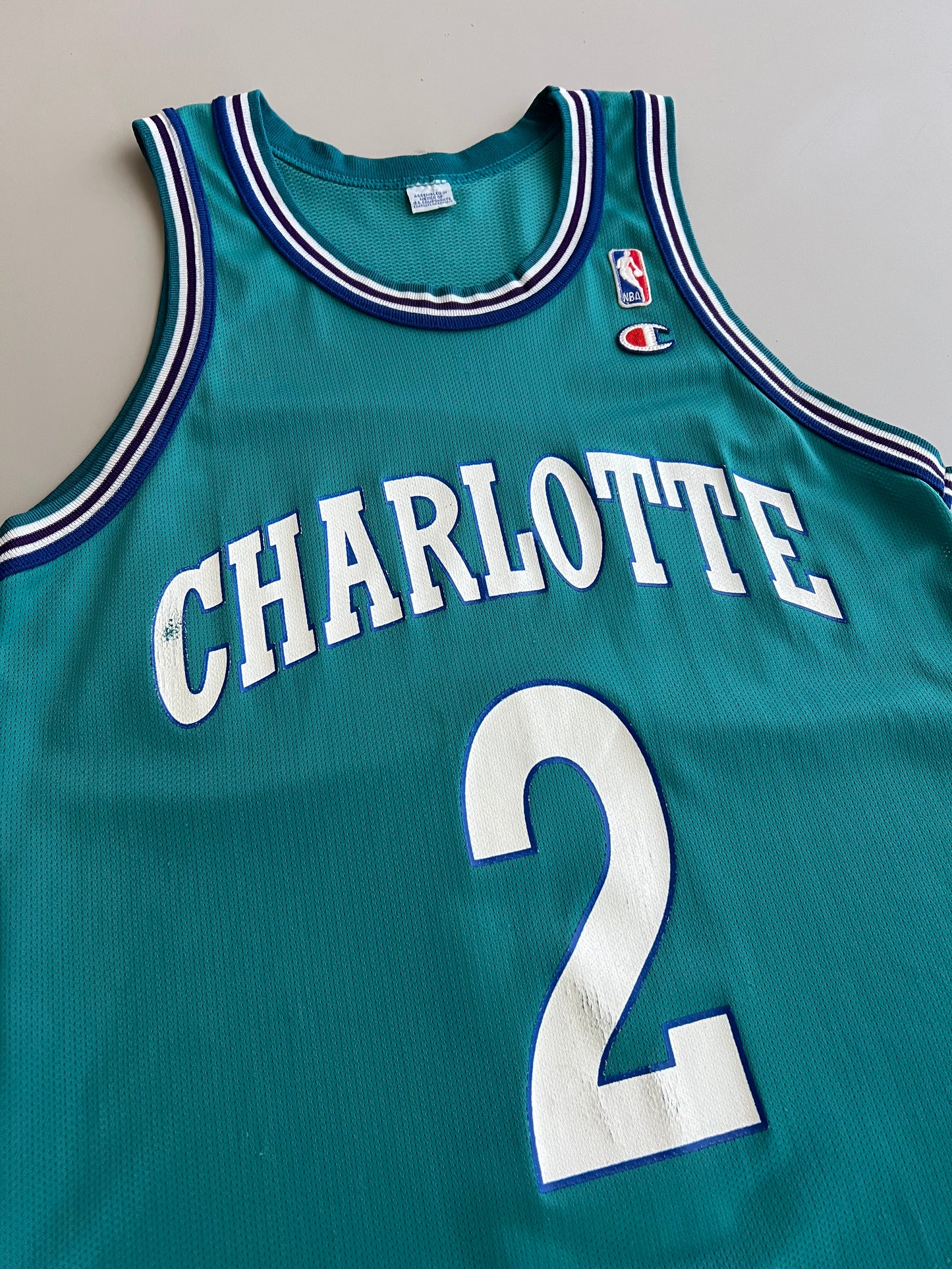 Large 90s Charlotte Hornets Larry Johnson Jersey