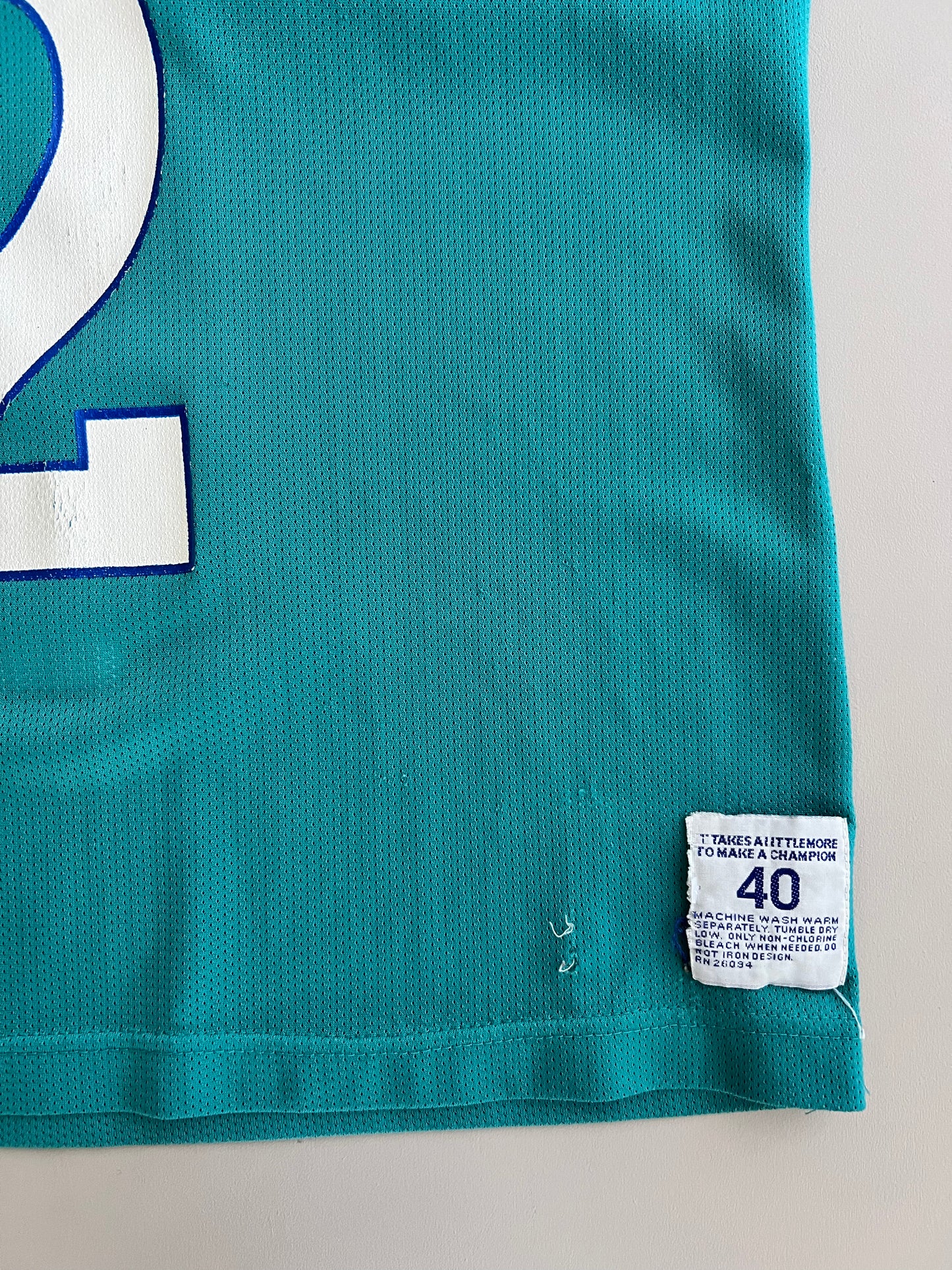 Large 90s Charlotte Hornets Larry Johnson Jersey
