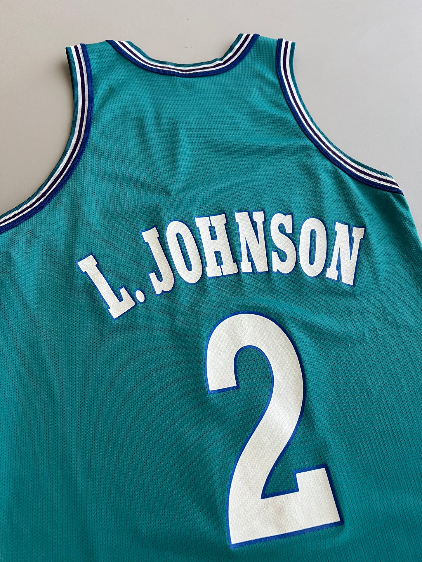 Large 90s Charlotte Hornets Larry Johnson Jersey