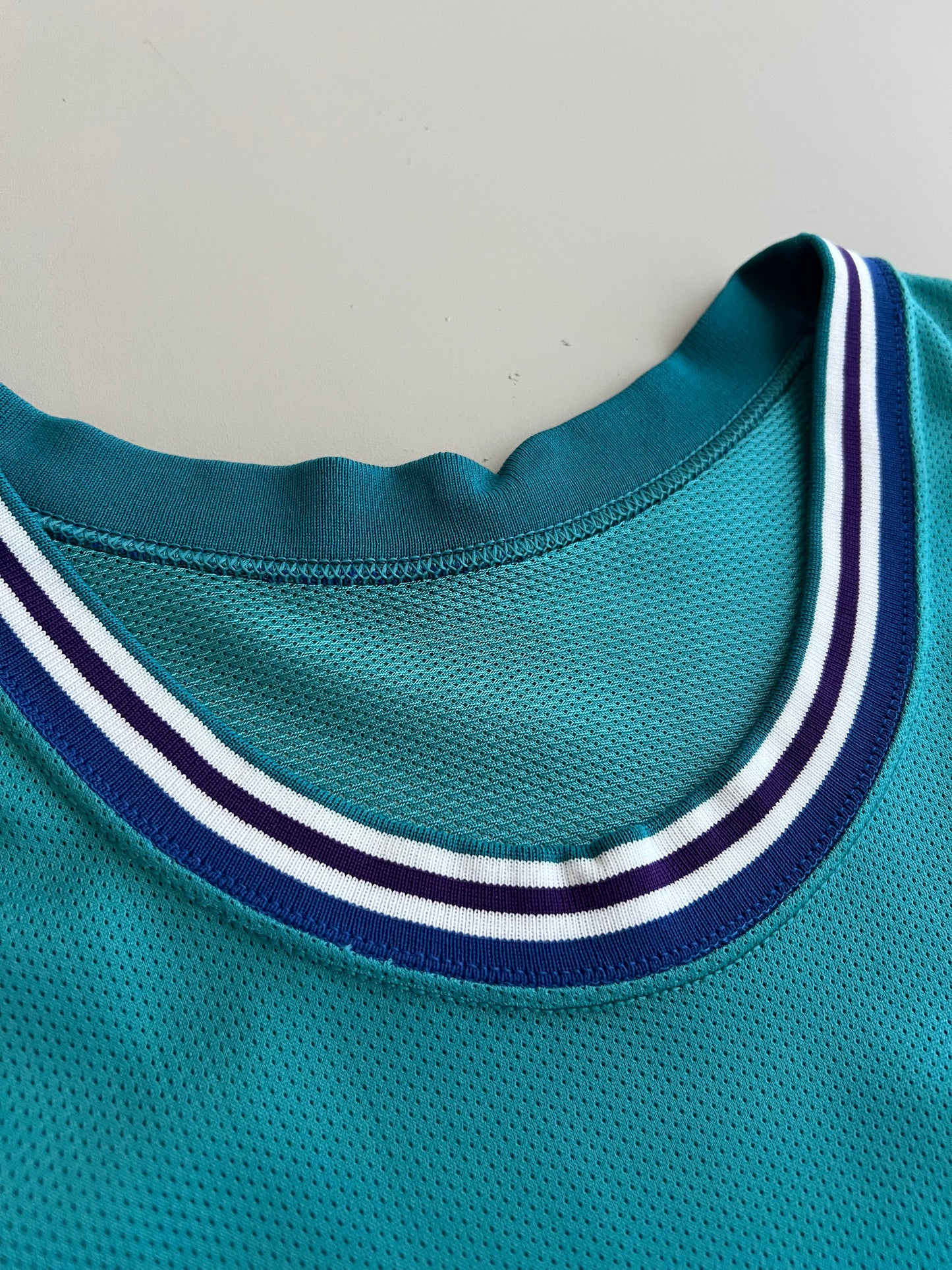 XL 90s Charlotte Hornets Larry Johnson Jersey