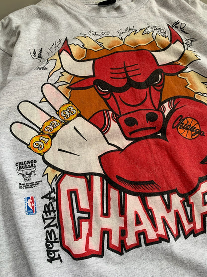XL 1993 Chicago Bulls Champions T-shirt