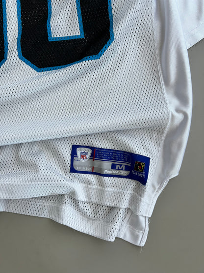 Large Carolina Panthers Julius Peppers Jersey