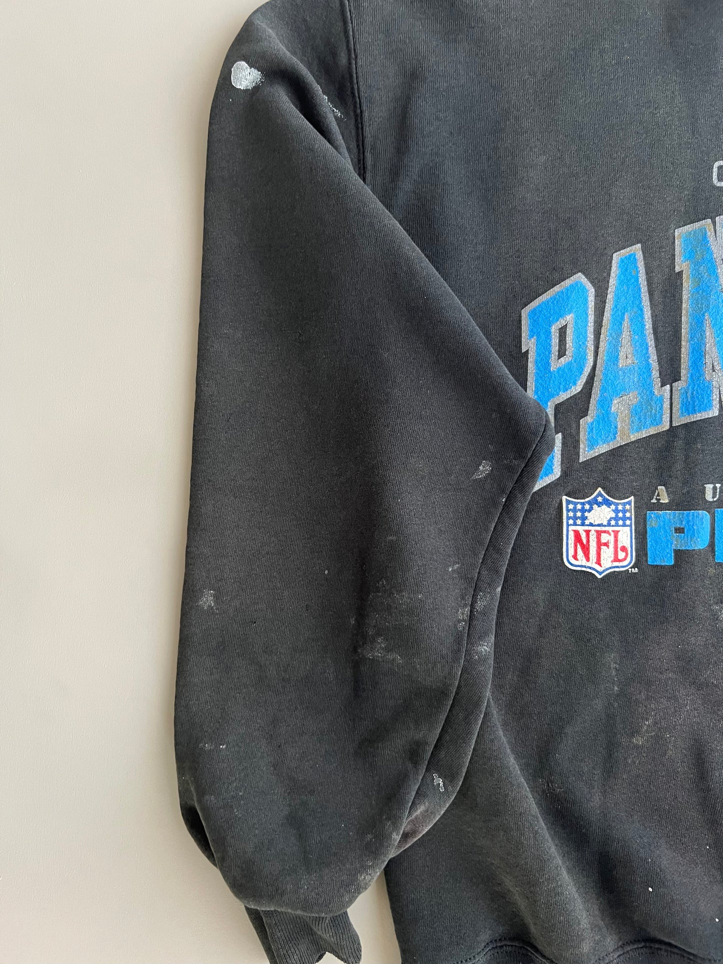 Large 1995 Carolina Panthers Sweatshirt