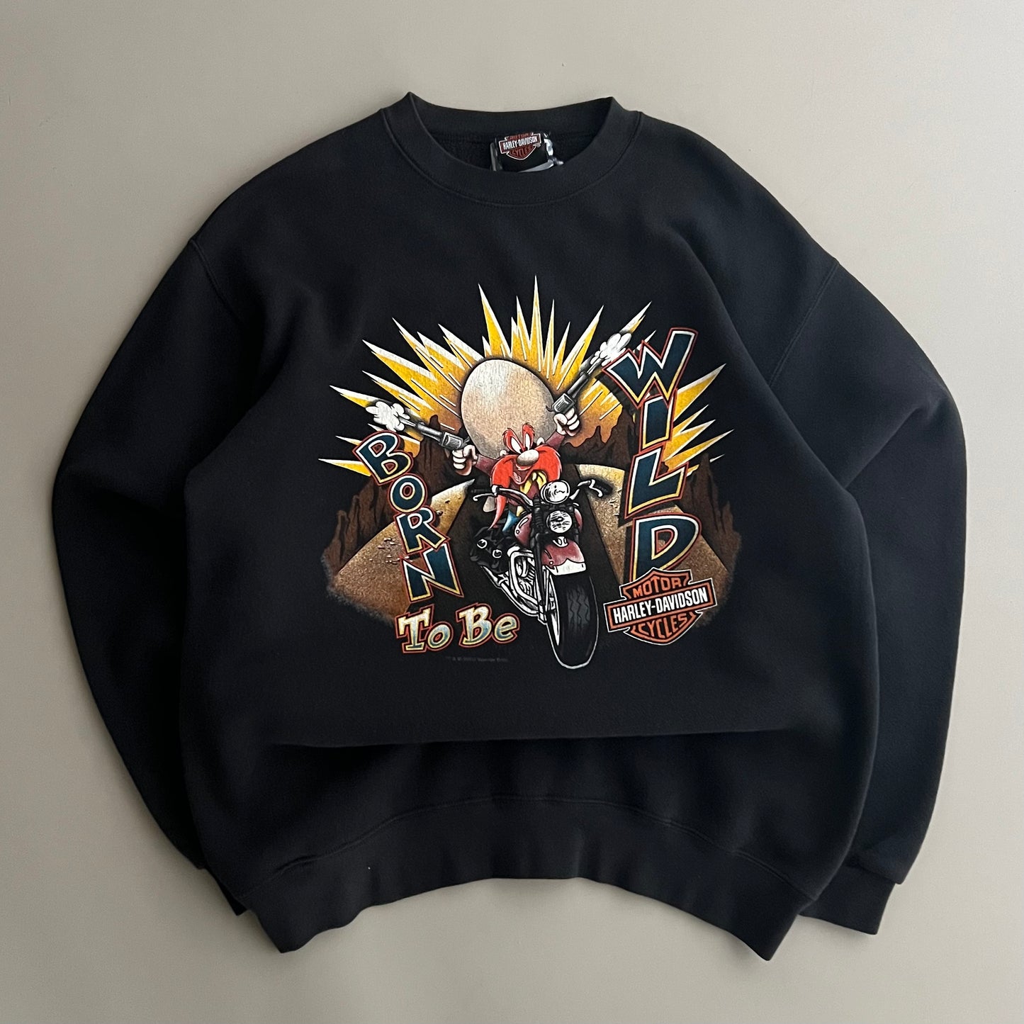 Medium 2000 Harley Davidson Looney Tunes Sweatshirt