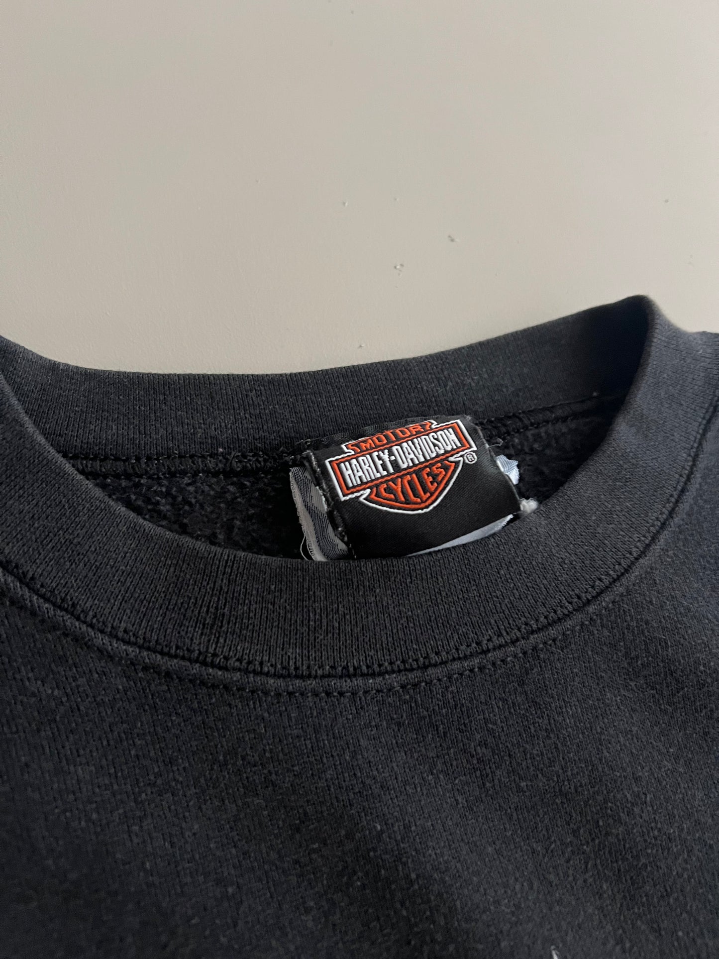 Medium 2000 Harley Davidson Looney Tunes Sweatshirt