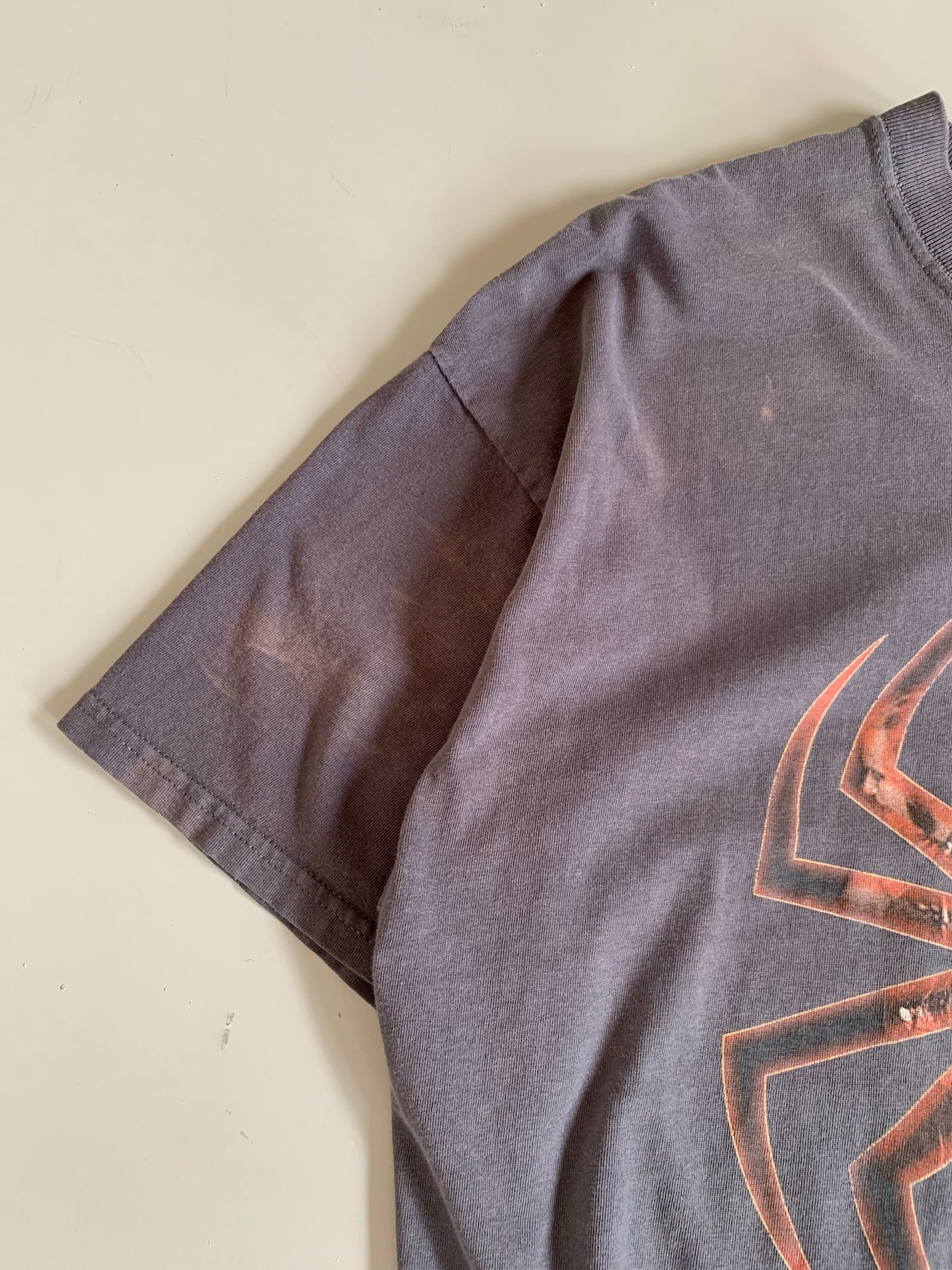 XL 2000s Cold Year of the Spider Band T-shirt