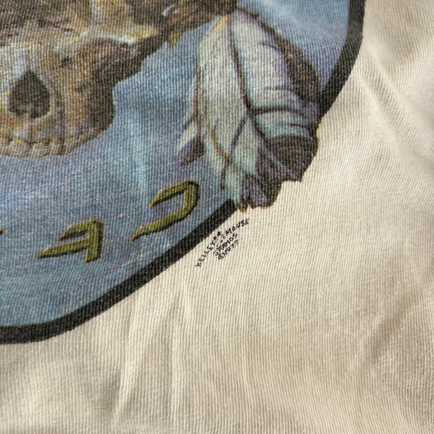 Large 1977 Grateful Dead Kelley Mouse Design Raglan