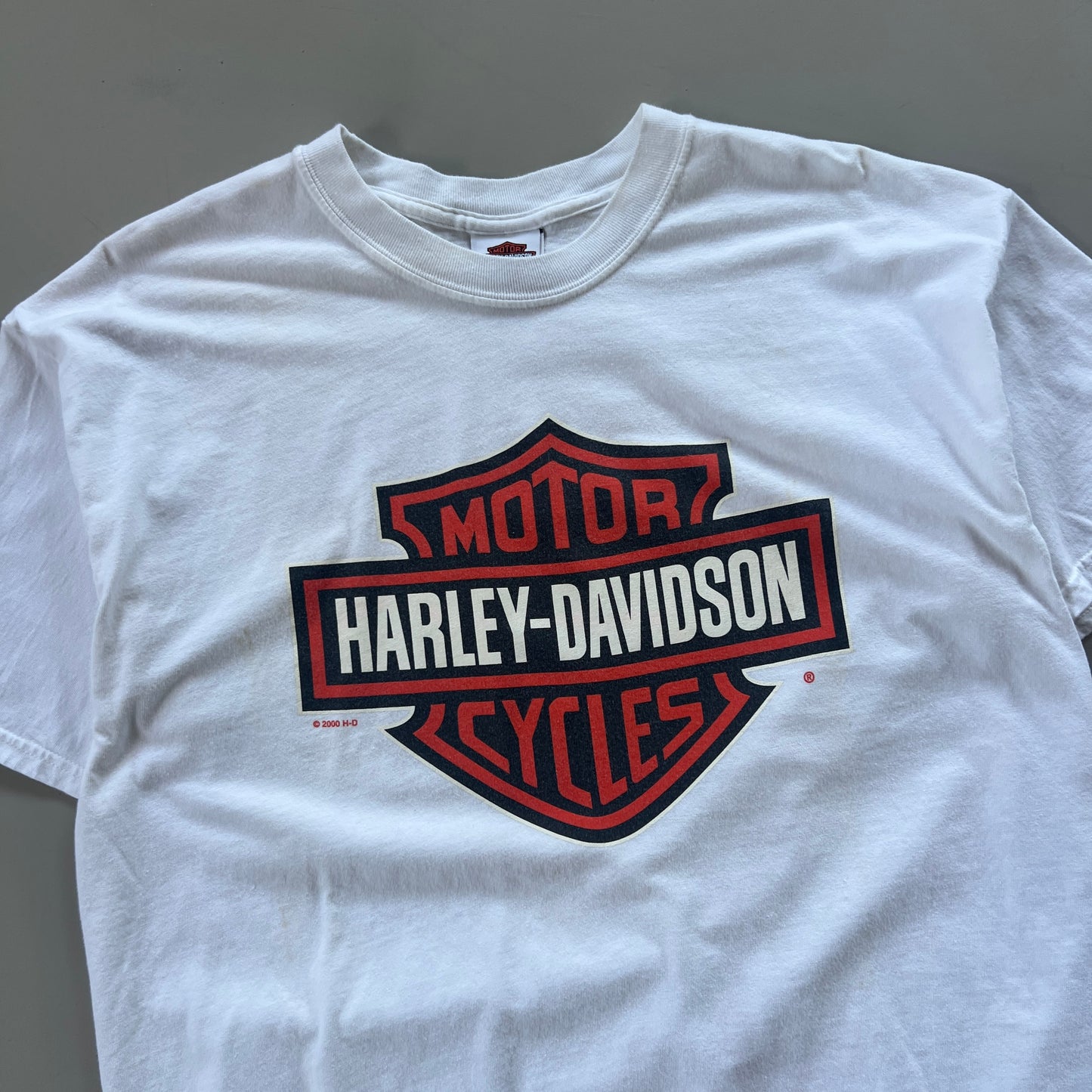 Large 2000 Harley Davidson Santa Cruz T-shirt