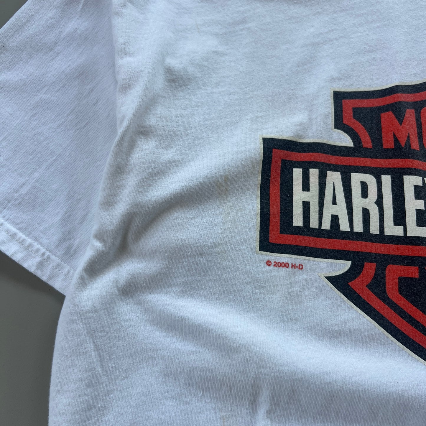 Large 2000 Harley Davidson Santa Cruz T-shirt