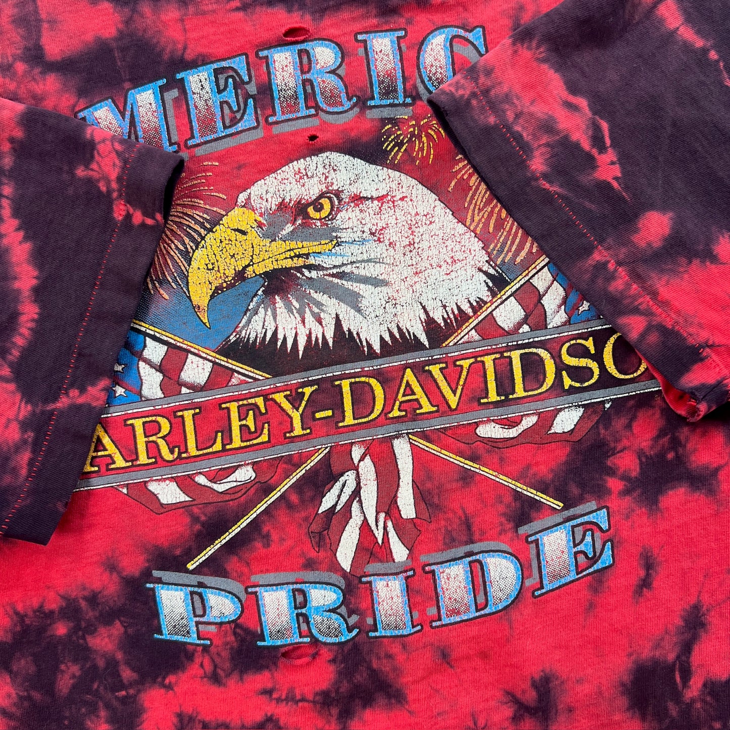 XL 1990s Distressed Harley Davidson Pride Wyoming T-shirt