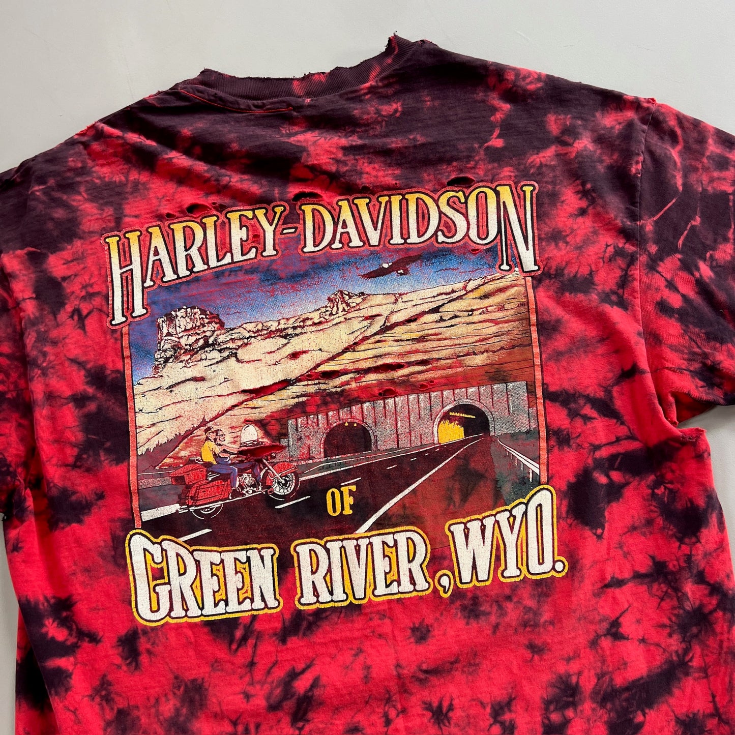 XL 1990s Distressed Harley Davidson Pride Wyoming T-shirt