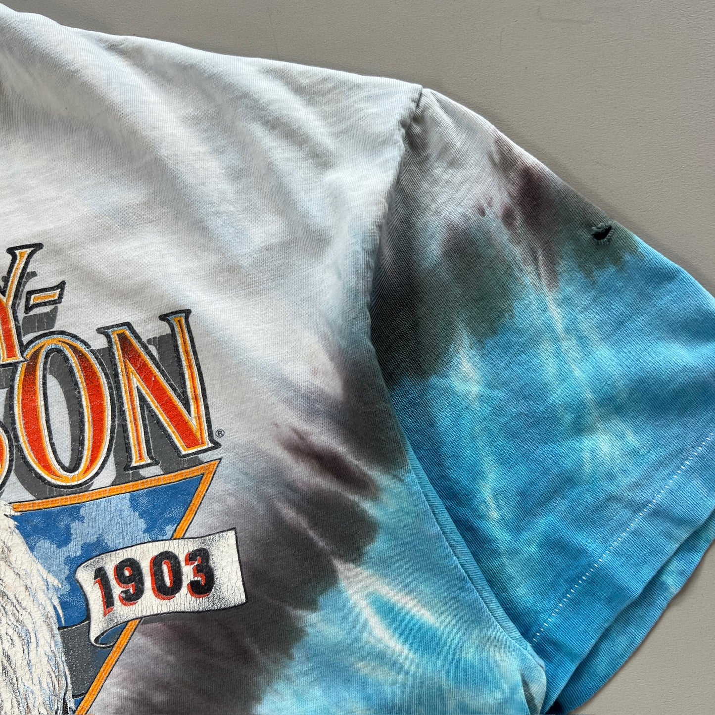 Large 1991 Harley Davidson British Columbia T-shirt